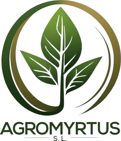 logo de website